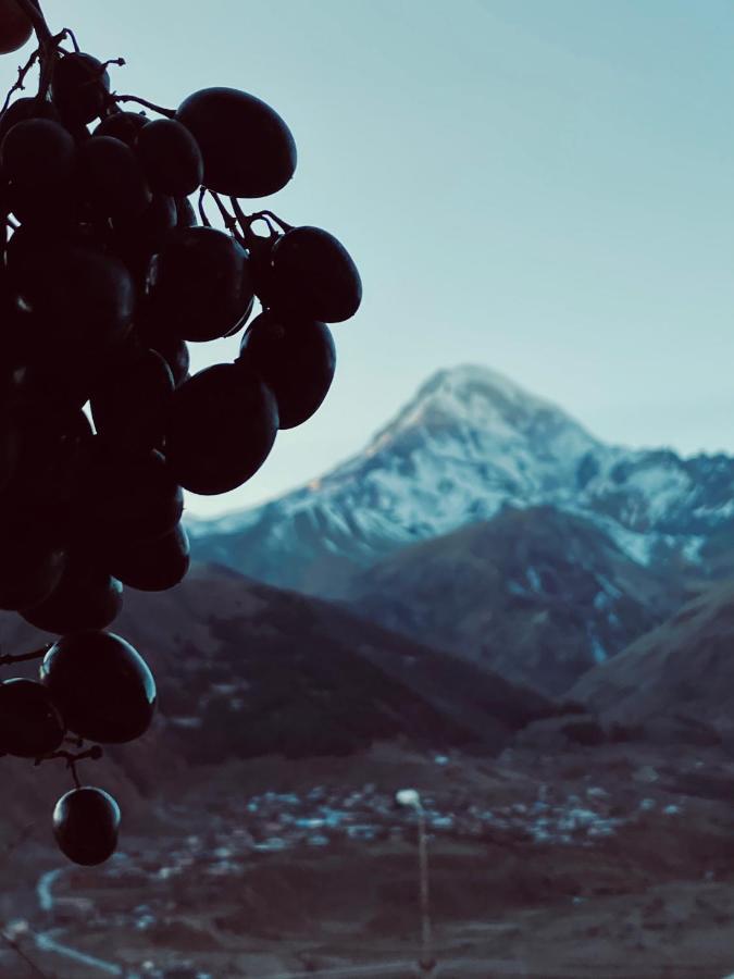 Guesthouse Relax In Kazbegi Εξωτερικό φωτογραφία