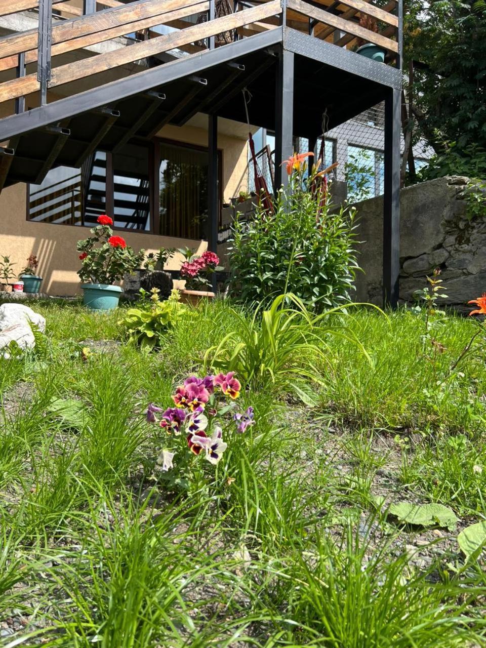 Guesthouse Relax In Kazbegi Εξωτερικό φωτογραφία