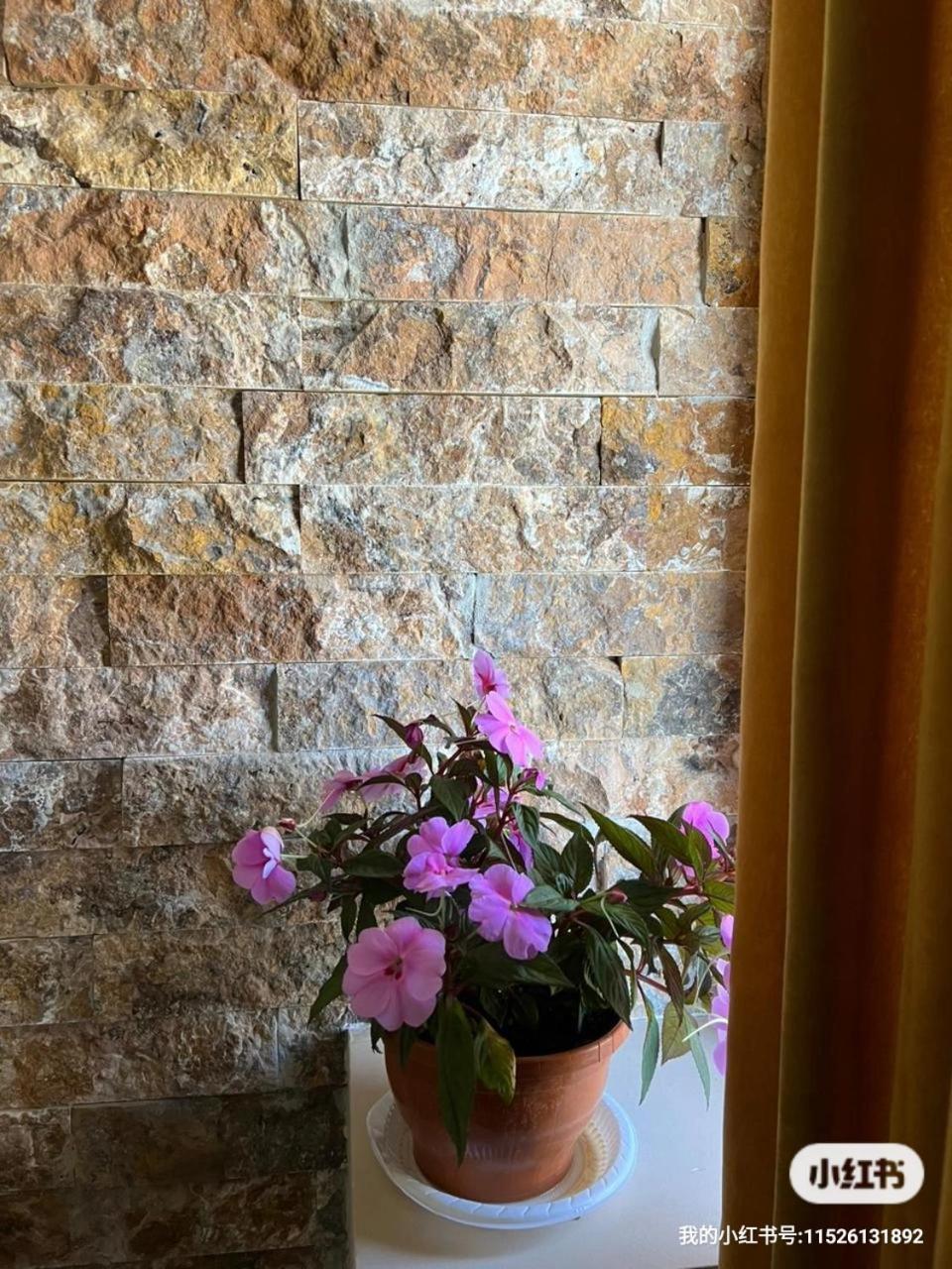 Guesthouse Relax In Kazbegi Εξωτερικό φωτογραφία